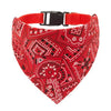 Bandana roja con estampado paisley blanco sujetada a una banda de cuello negro ajustable