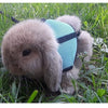 Chaleco Transportador Transpirable para Mascotas con Arnés y Correa