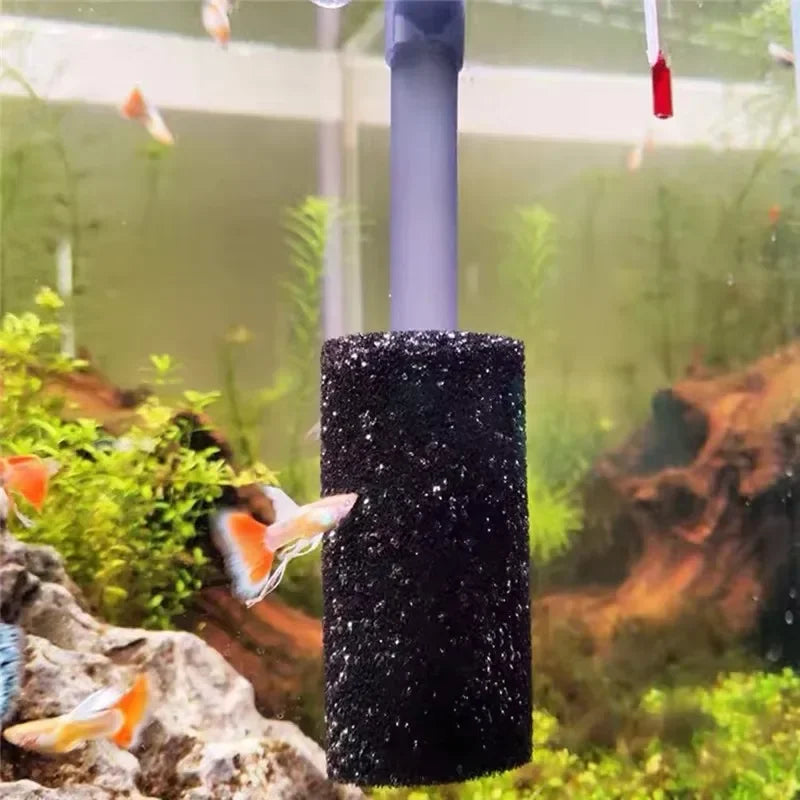 A black sponge pre-filter is visible in an aquarium setup with aquatic plants and fish.