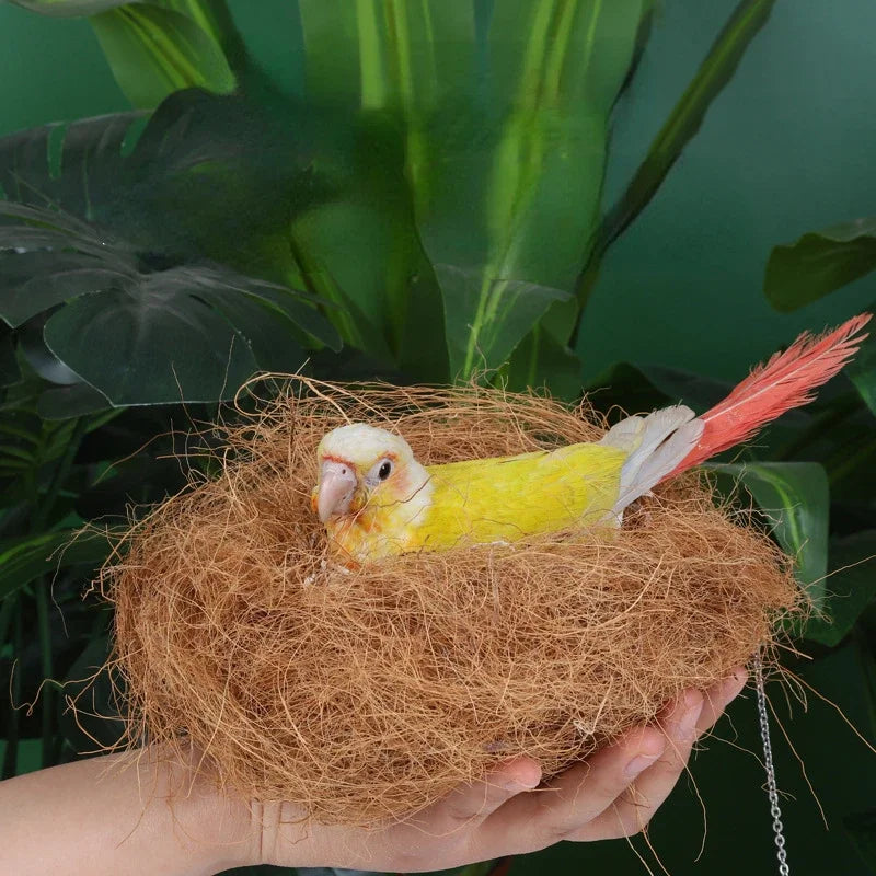 A hand holds a nest made of natural coconut fiber bird bedding with a small yellow and white bird inside.