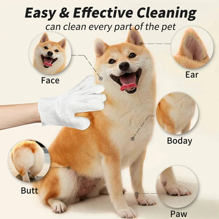 A dog is being cleaned using a glove set to clean its face, ear, body, and paw.