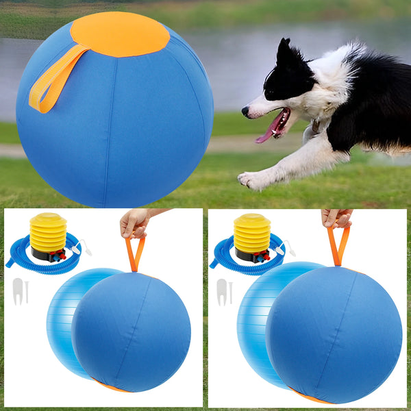 A blue inflatable herding ball with an orange handle is shown in various views, including a dog playing with it.