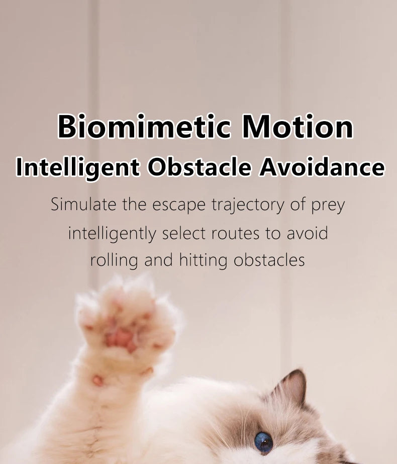 Intelligenter interaktiver Rollball für Katzen