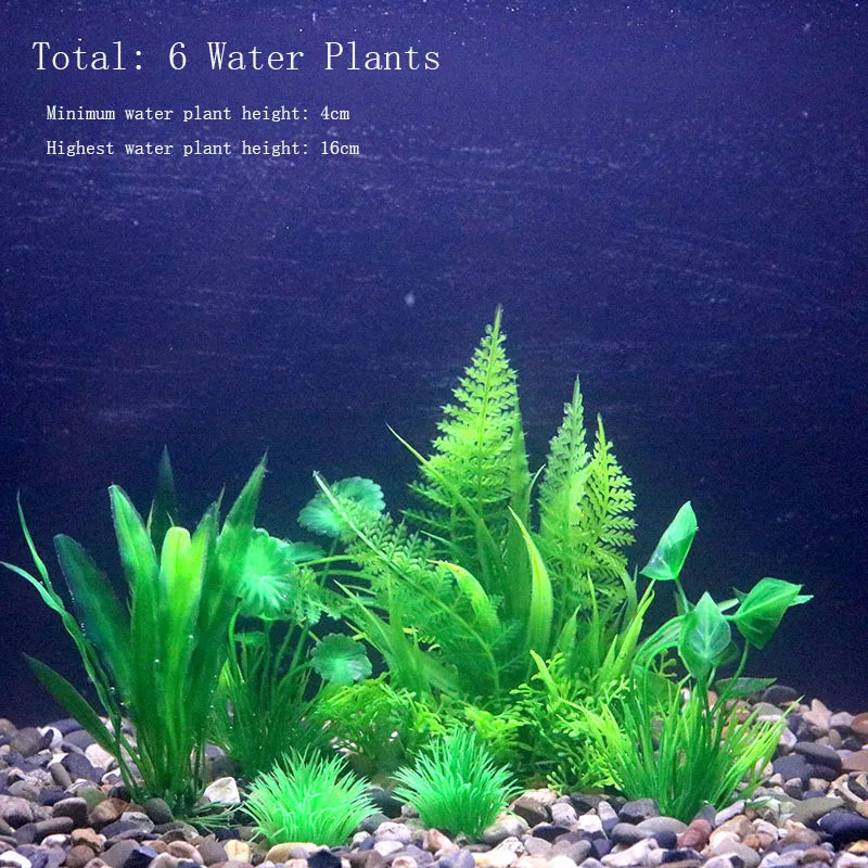 A collection of six green water plants of varying heights displayed in a dark aquarium setting.