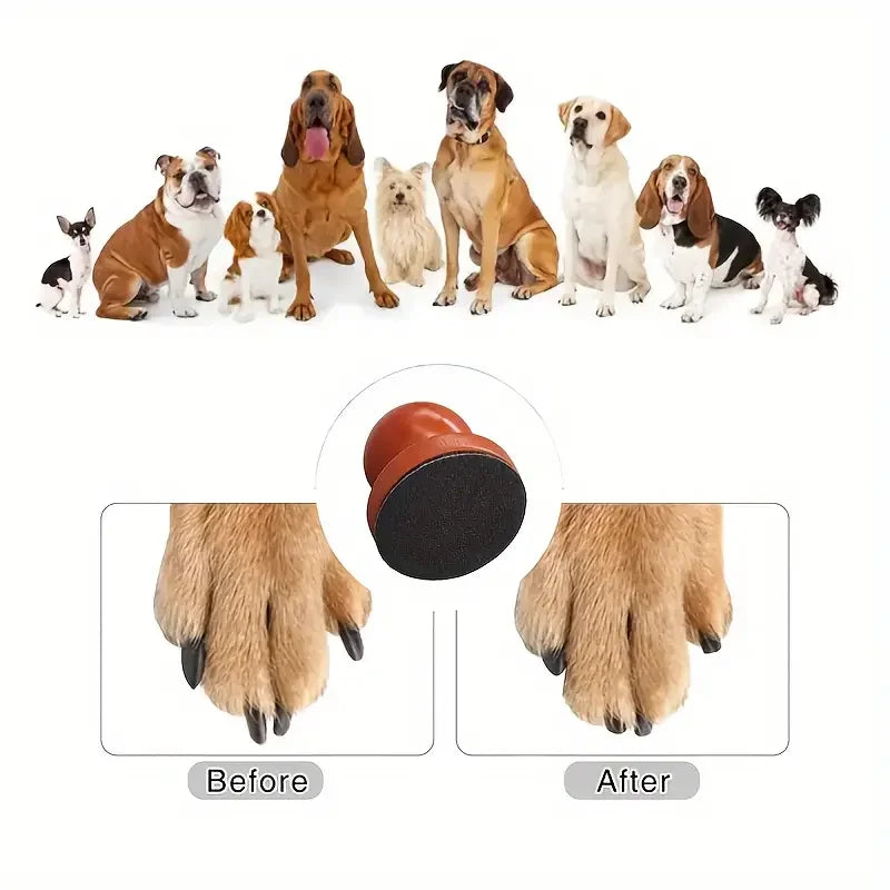 Vorher-Nachher-Vergleich: Verwendung einer ergonomischen Holznagelfeile mit austauschbaren Pads an einem Hundefüß.