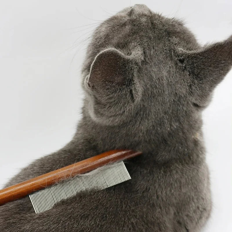 A gray cat is being groomed with a solid wood pet pin brush.