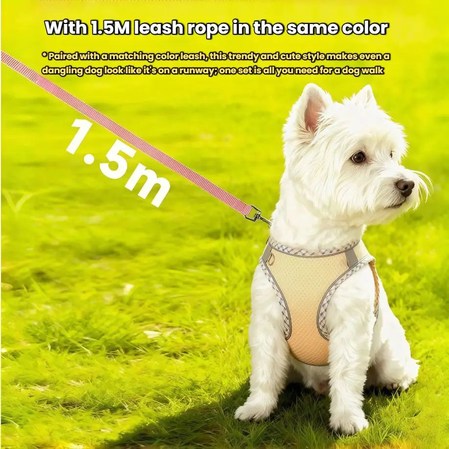 A white dog wearing a beige harness and attached to a 1.5m pink leash in a grassy outdoor setting.