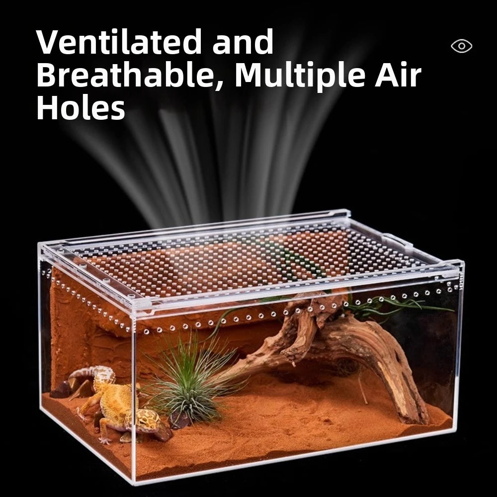 Acrylic Reptile Terrarium with Ventilation and Anti-Escape Lid