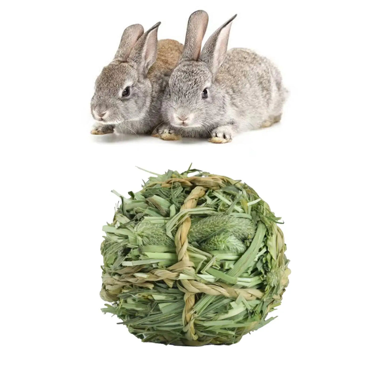 Two small gray rabbits chewing on Timothy grass chew toys