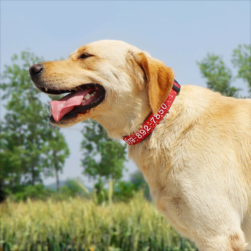 Personalisierte bestickte Nylon-Hundehalsband