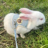 Adjustable Linen Rabbit Harness and Leash Set with Padded Comfort