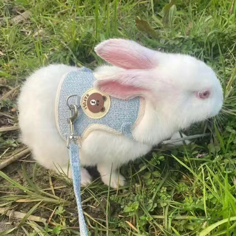 Adjustable Linen Rabbit Harness and Leash Set with Padded Comfort