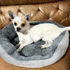 Cozy Plush Dog Bed with Soft Cotton Cover