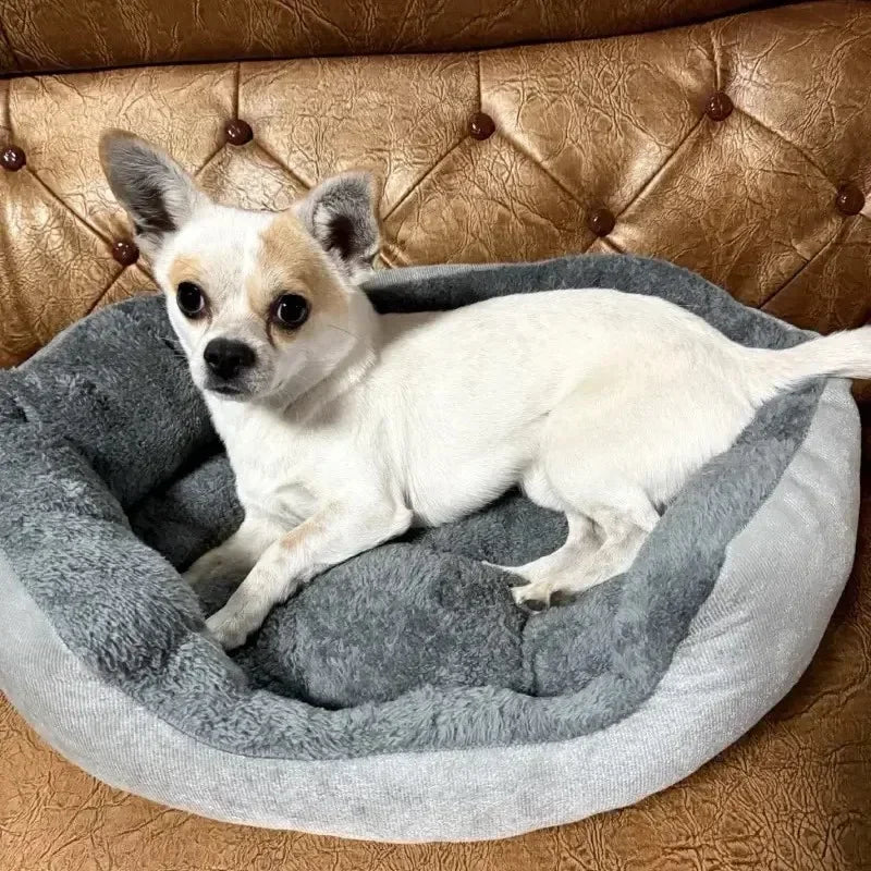 Cozy Plush Dog Bed with Soft Cotton Cover