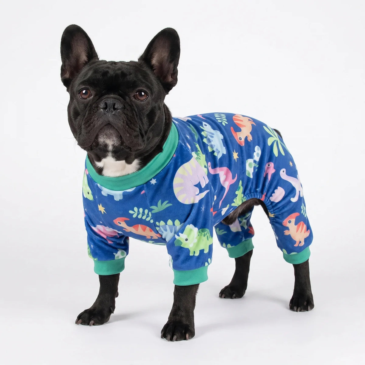 A black French Bulldog wearing a blue jumpsuit patterned with colorful animals.