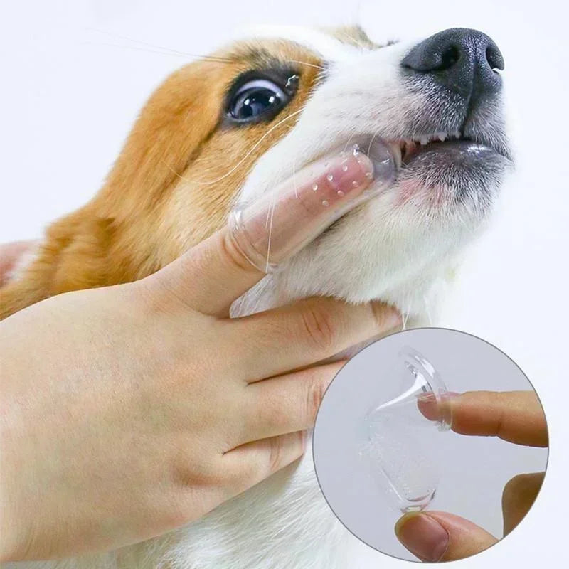 Soft Silicone Finger Toothbrush for Dogs – Gentle Teeth & Tartar Care