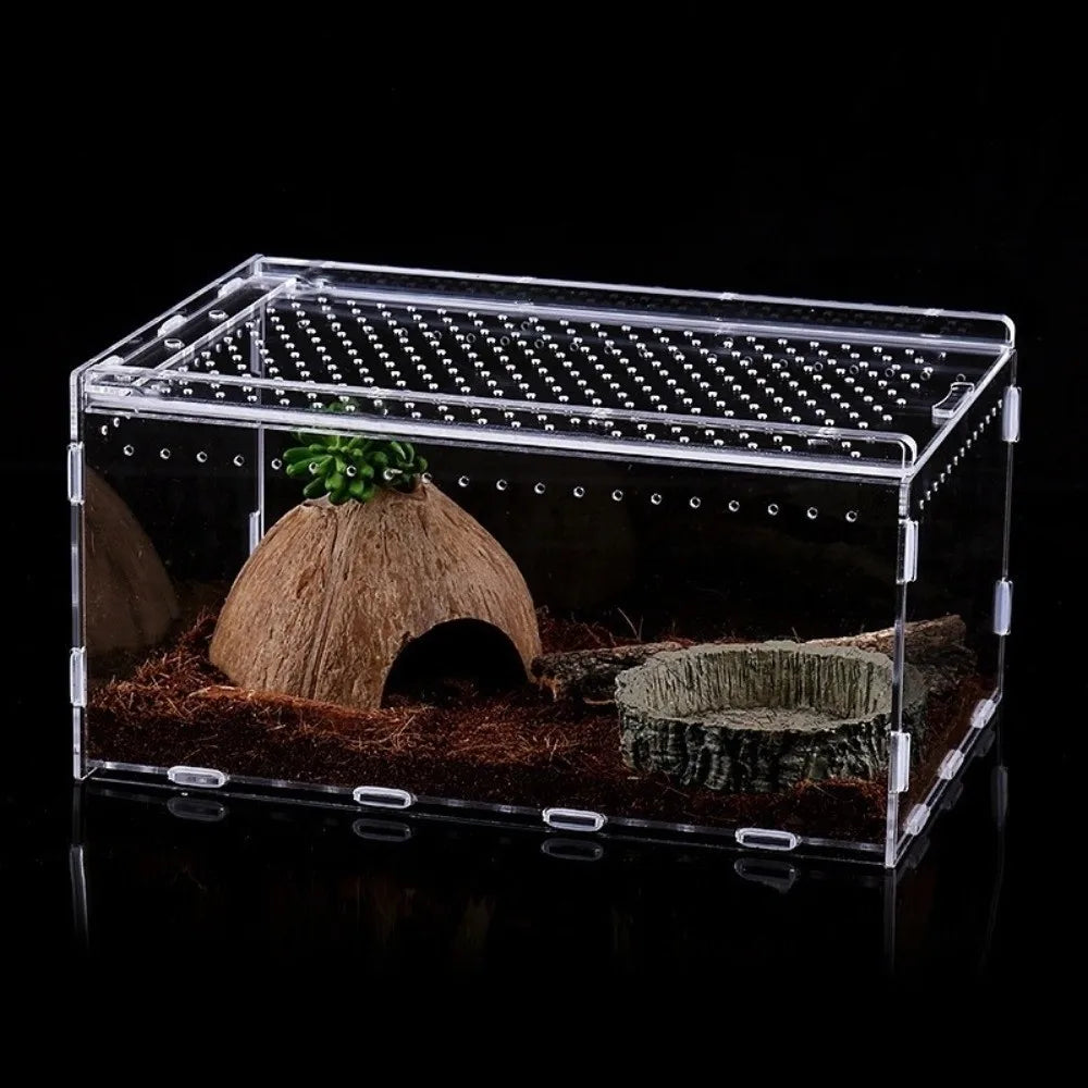 Acrylic Reptile Terrarium with Ventilation and Anti-Escape Lid
