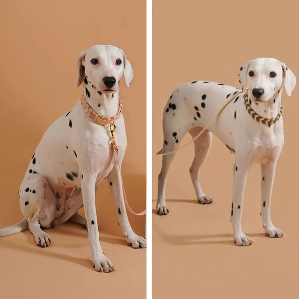Handcrafted Colorful Striped Dog Collar