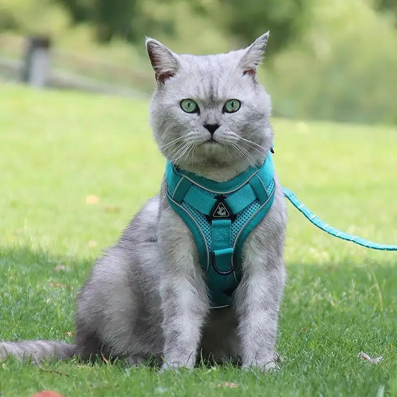 Adjustable No-Pull Dog Harness with Reflective Leash Set