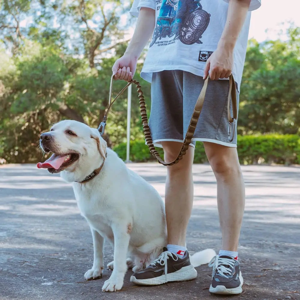 Tactical Dog Leash with Dual Handles and Shock-Absorbing Bungee