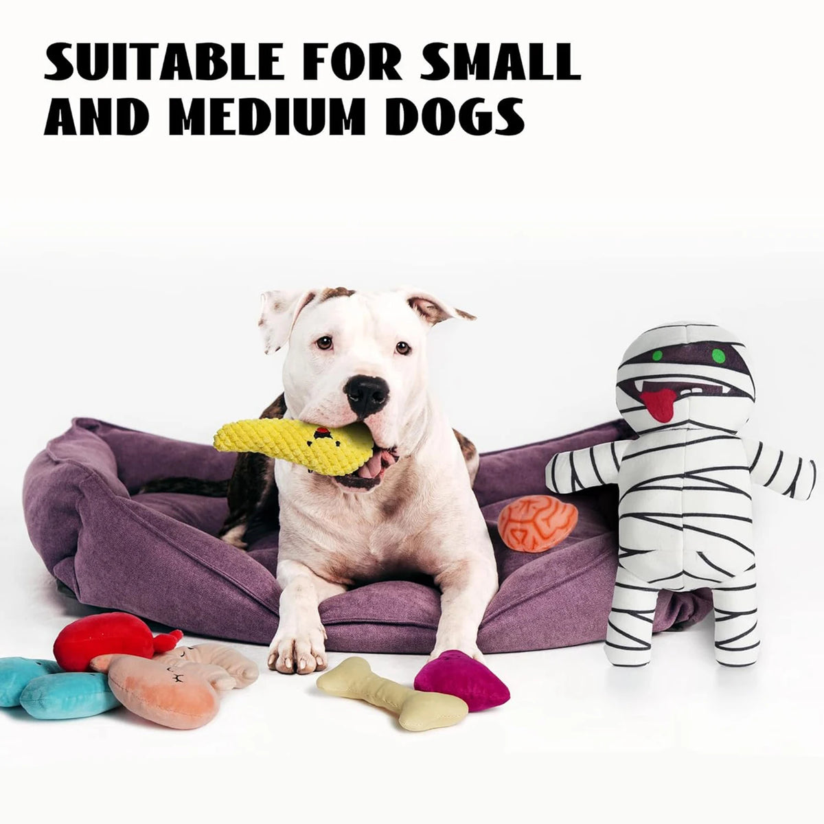 Zombie Mummy Dog Toy with 8 Squeaky Organs
