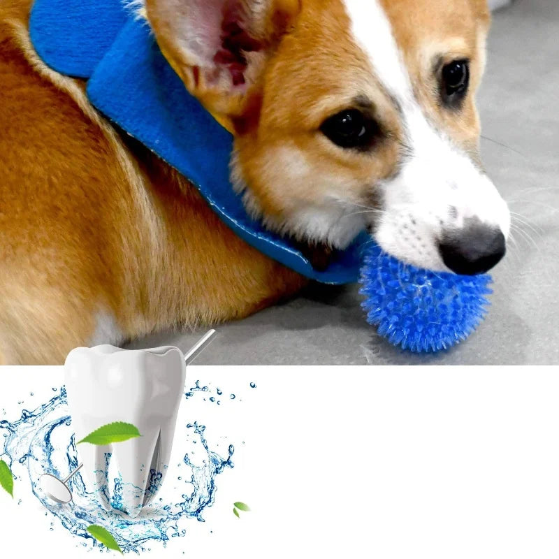 Squeaky Rubber Dog Ball Toy