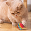 A fluffy ginger cat is pawing at a rainbow colored rattle ball on a wooden floor.