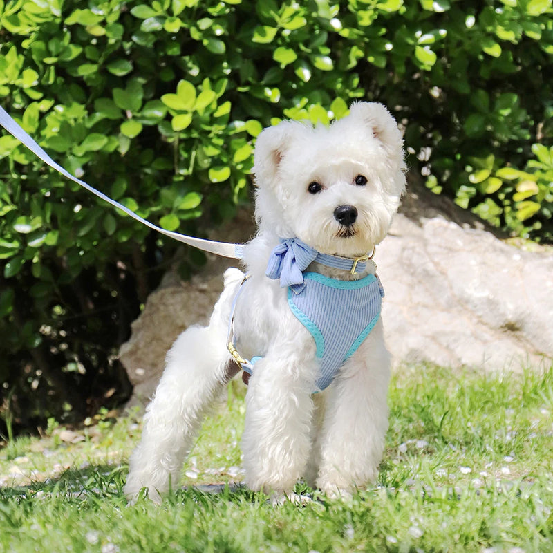3-Piece Dog Collar Harness Leash Set with Bowknot