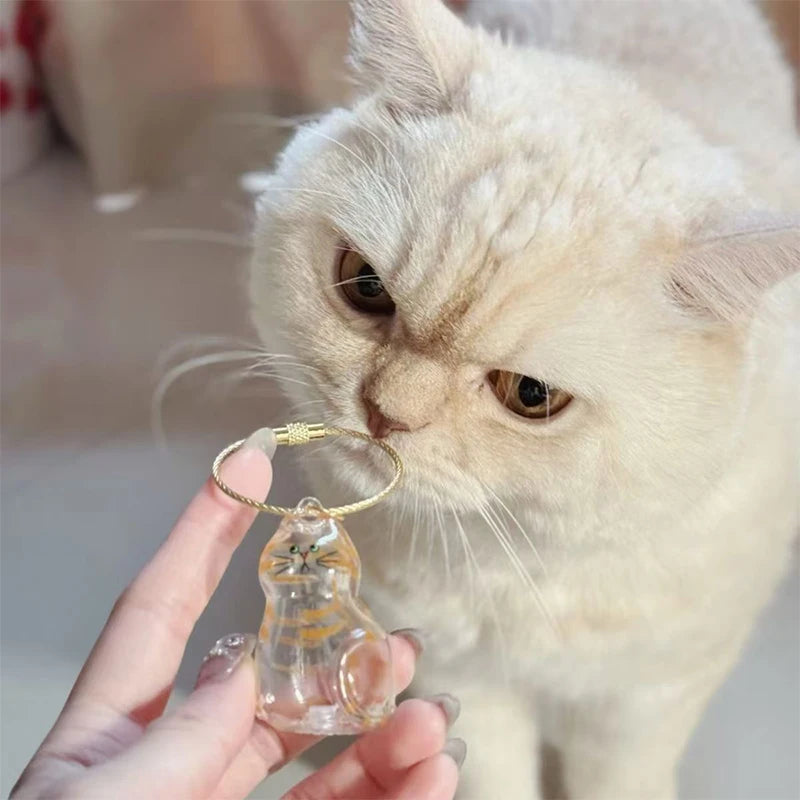 Eine Hand hält eine klare Glasfigur einer Katze als Schlüsselanhänger zur Haaraufbewahrung.