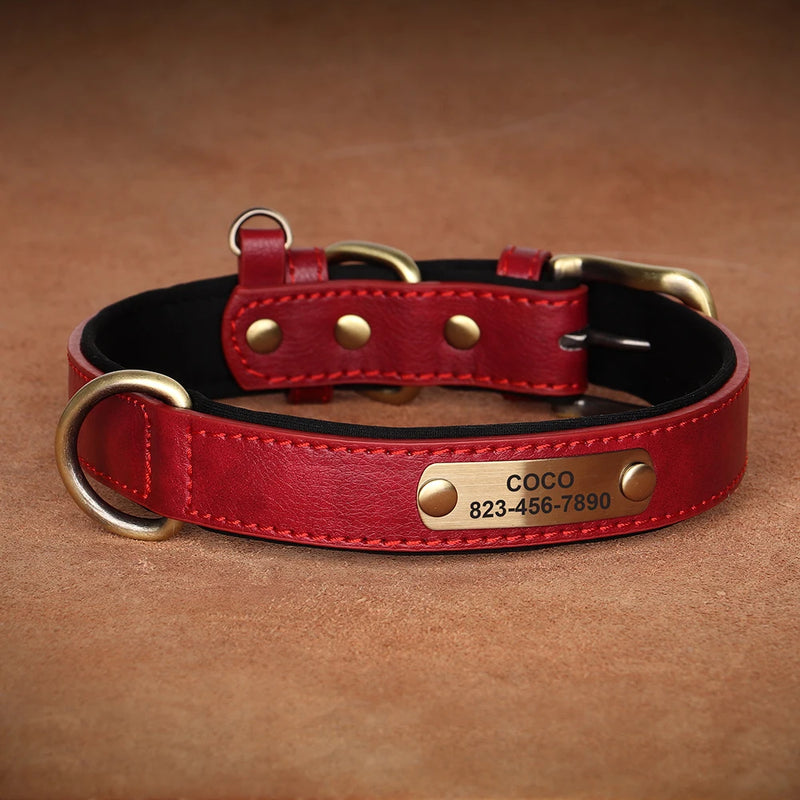 Personalisiertes Leder-Hundehalsband mit graviertem ID-Tag