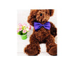 Pet Bow Tie Collar with Adjustable Strap