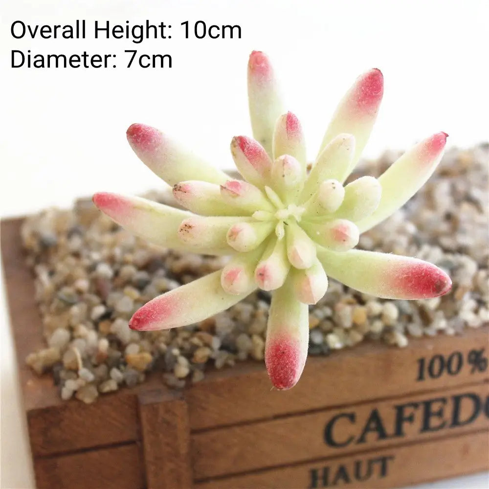 A small succulent plant with pink and green leaves is displayed on a wooden box.