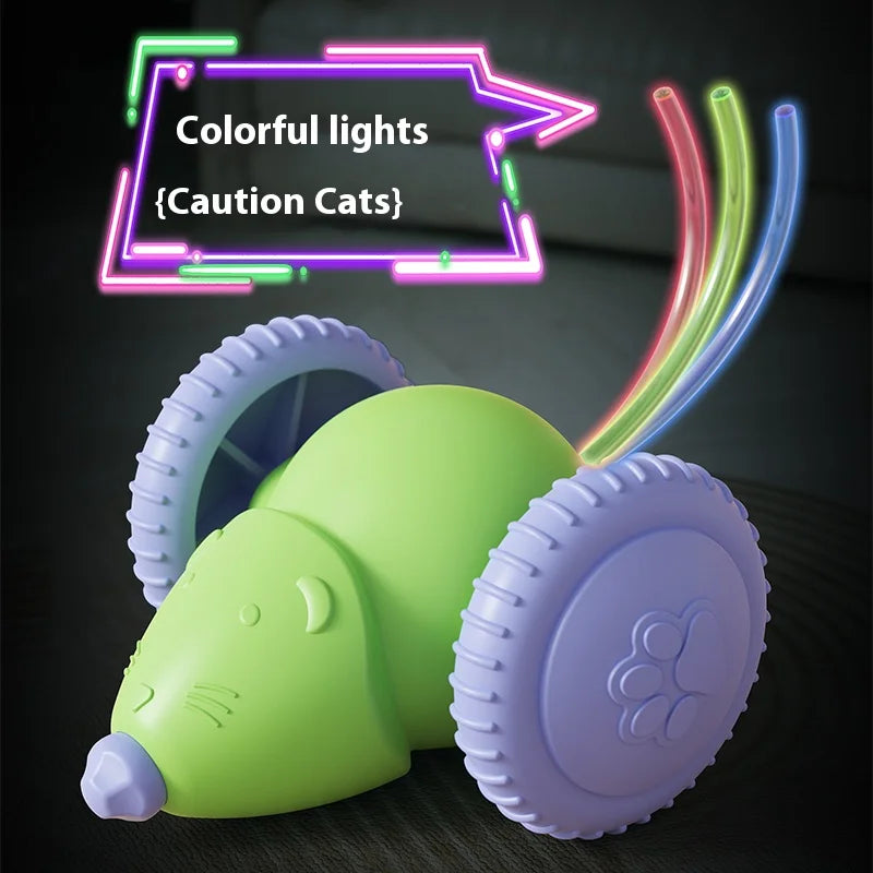 Smarter, Hindernisse vermeidender elektrischer Katzentoys