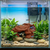 Realistic 3D Rockery Ornament for Aquarium Fish Tanks