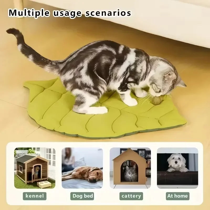 A gray and white cat is lying on a green pet cushion with a non-slip base, shown in multiple usage scenarios.