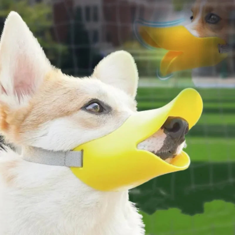 A light-colored dog wearing a yellow silicone muzzle designed to prevent biting and barking.