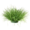A clump of vibrant green simulated onion grass used as a garden decoration.