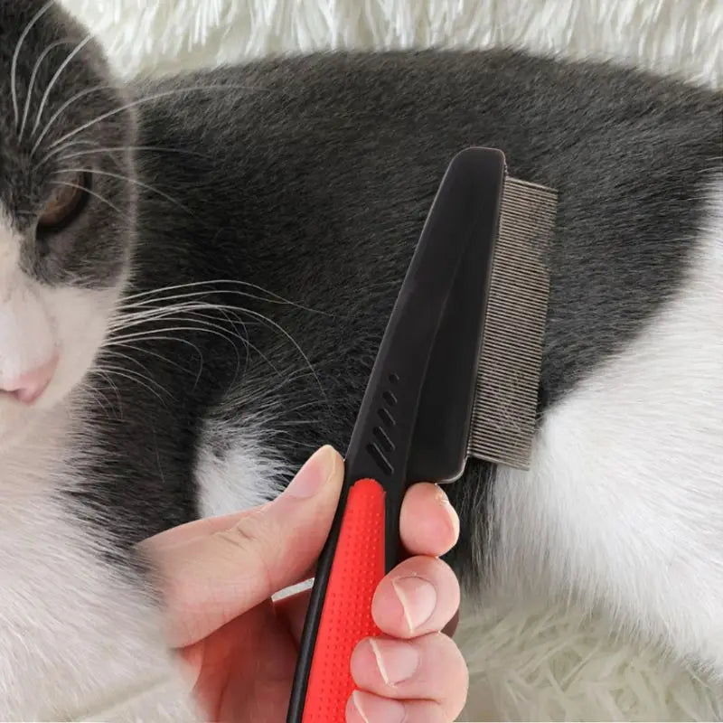 A hand holds a black pet grooming comb with an orange handle, positioned near a black and white cat.