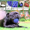 Robuster Texturierter Gummiball zum Kauen für Hunde