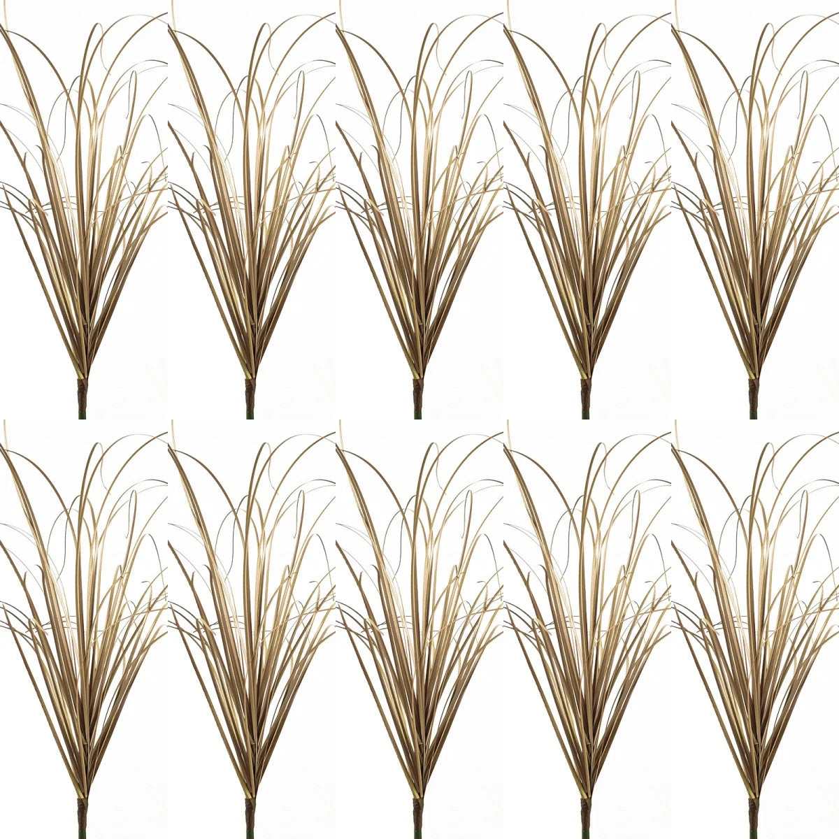 A set of dried, golden-brown onion grass decorations arranged in a fan shape.