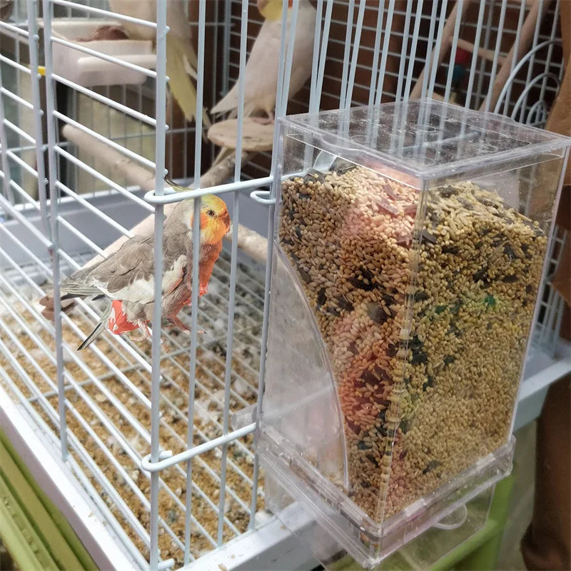 Sauberer Acryl-Vogelfutter- & Tränkespender für Wellensittiche