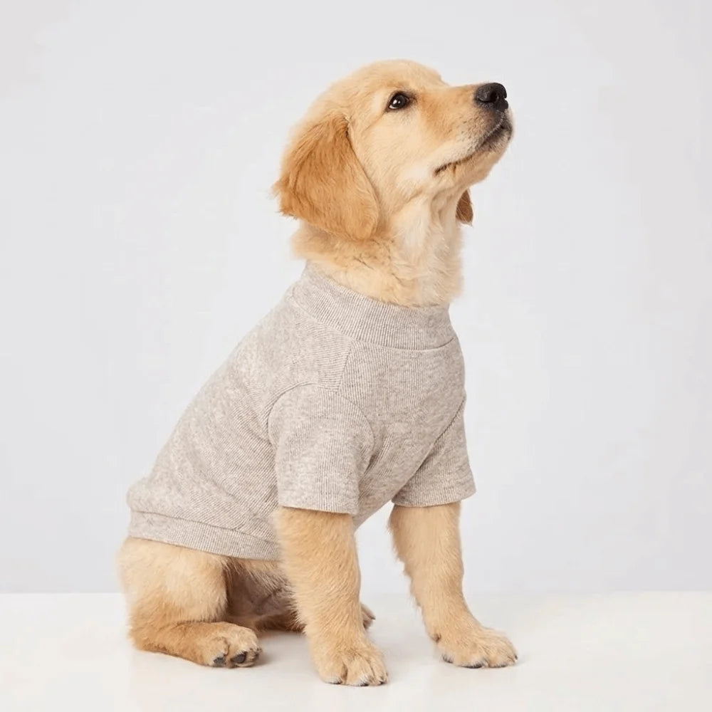 Cozy Solid Color Pet Sweater for Small Dogs
