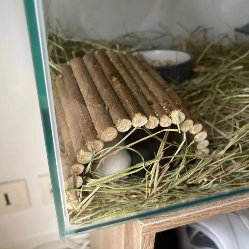Natural Willow Branch Small Pet Chew Toy with Climbing Arch Bridge