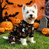 A white dog wearing a black and orange Halloween patterned sweater sitting on green grass with pumpkins and spiderwebs in the