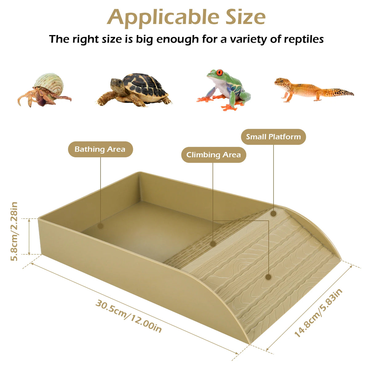 Reptile Food and Water Bowl with Anti-Slip Ramp