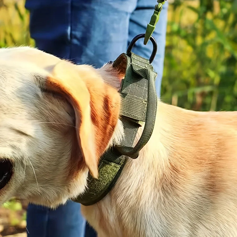 A light-colored dog wearing a green tactical training collar with a handle, being held by a person.