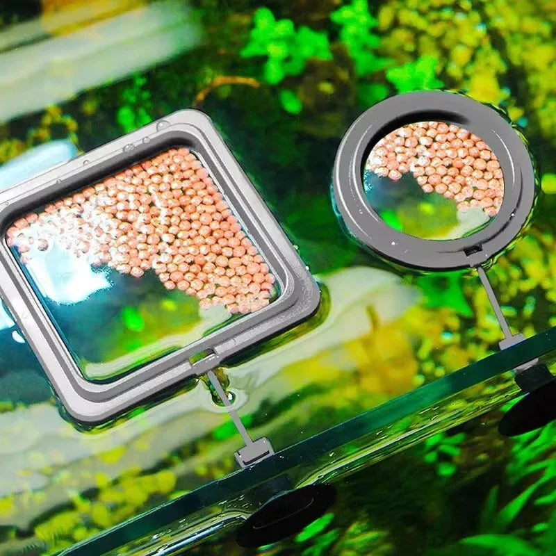 Anillo Flotante para Alimentar Acuarios