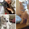 Love Water Drop Diamond Pet Necklace for Cats and Dogs
