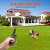 Rechargeable Dog Training Collar with Remote Control