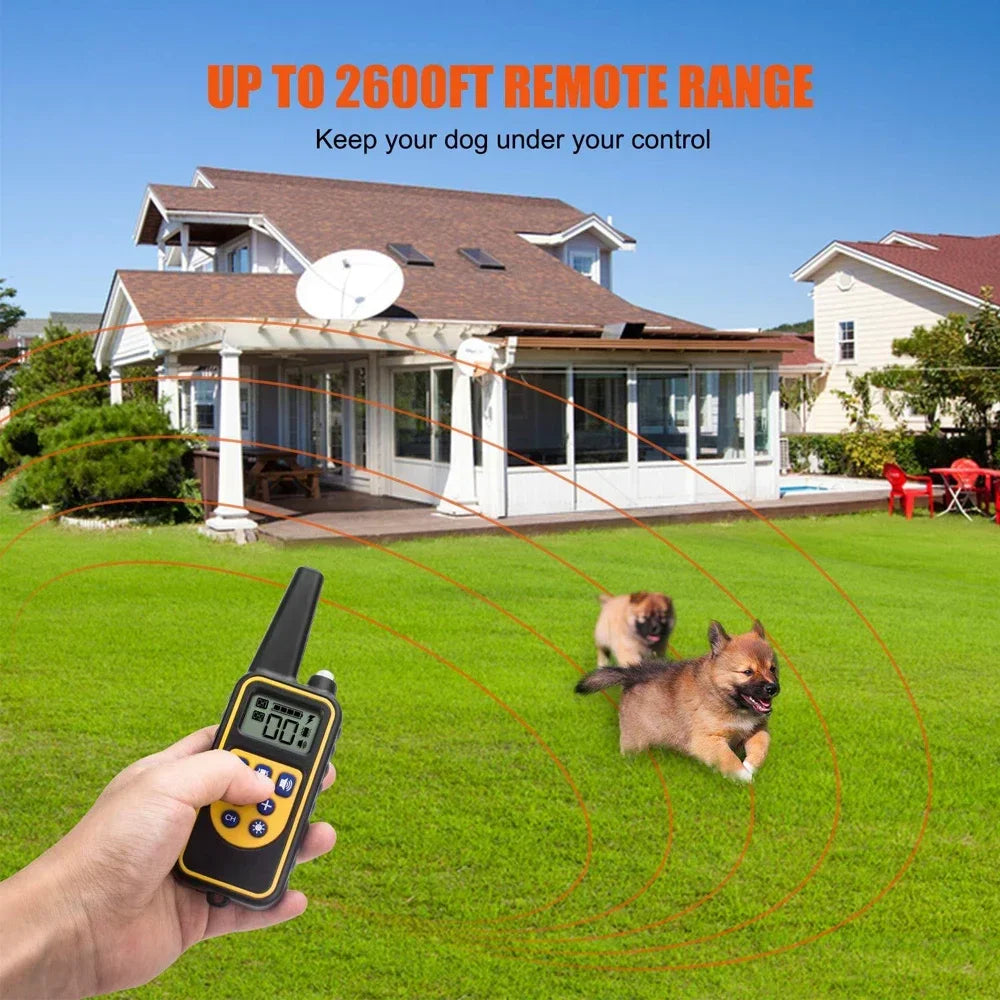 Rechargeable Dog Training Collar with Remote Control